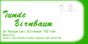 tunde birnbaum business card